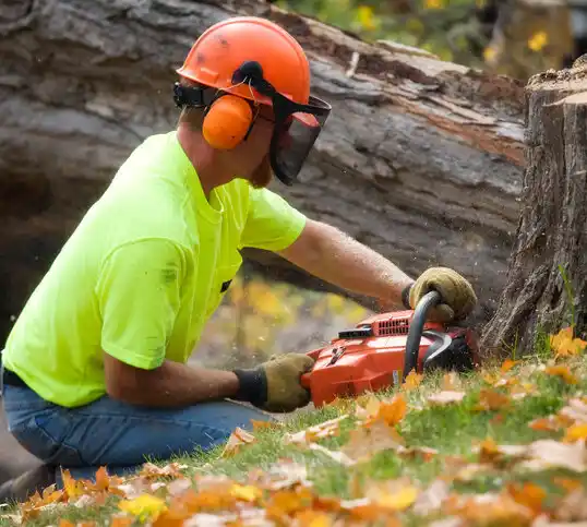 tree services Highpoint